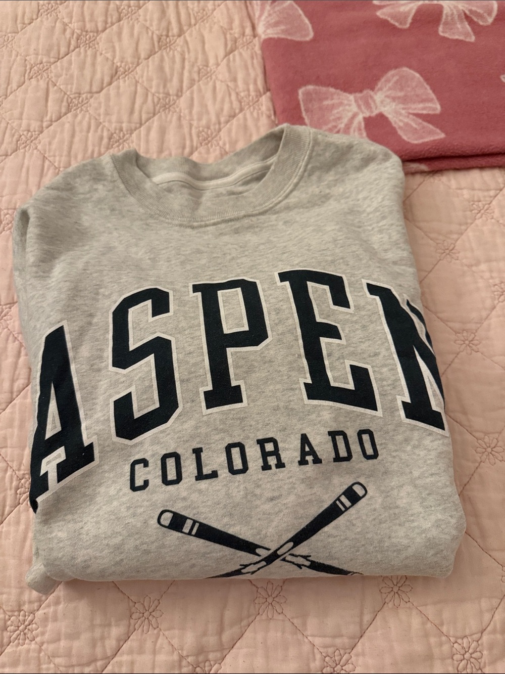 Abercrombie & Fitch Light Gray Crewneck with Navy Aspen Graphic